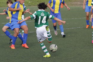 mk体育备用-体育纪录片内容更加丰富，体育纪录片主题